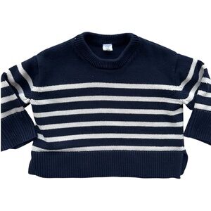 Toddler Boys GAP Navy and Cream Sweater